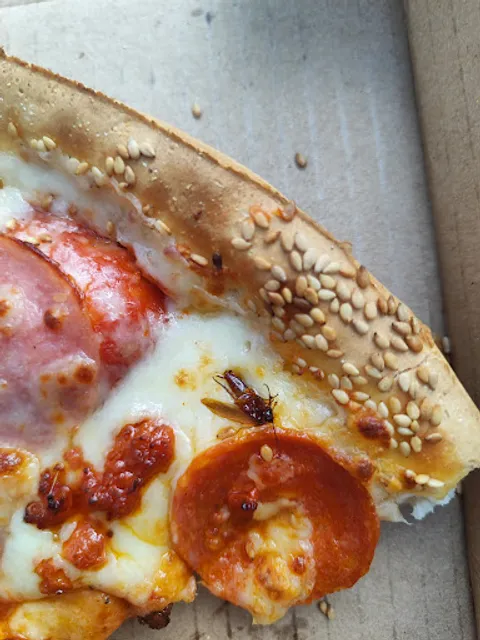 Benedetti's Industrias