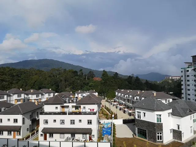 Cameron Jaya B7-6-11