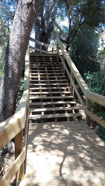 Bosque do Livramento