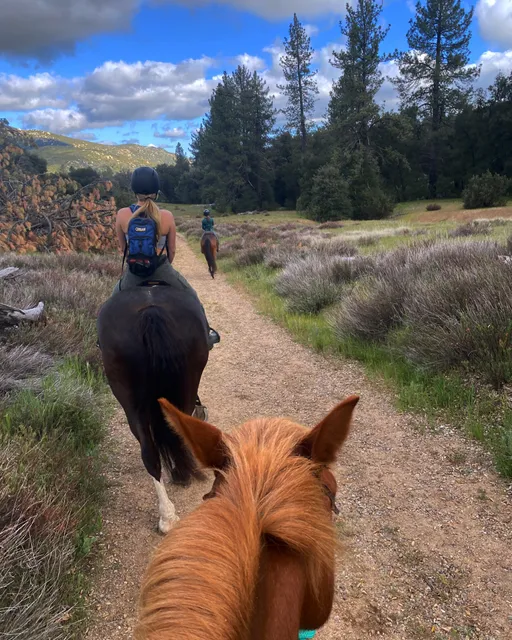 Green Valley Horse Camp
