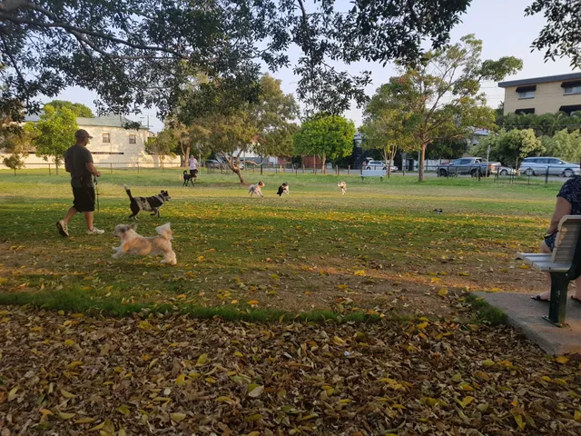 East Brisbane Dog Park