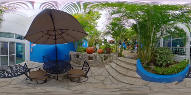 Camino Secreto Mariscos