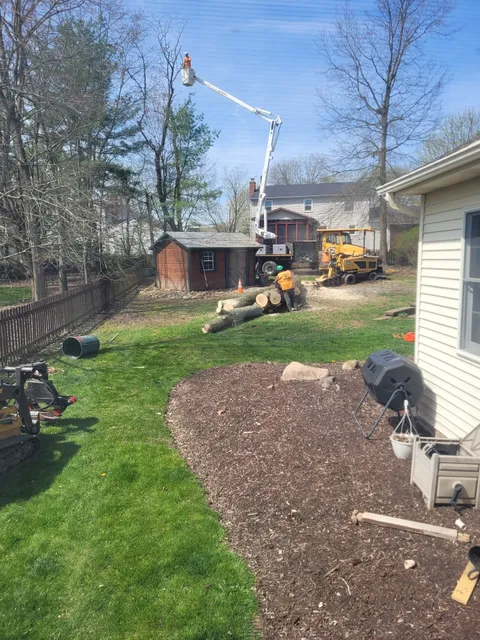 A Cut Above Tree Service