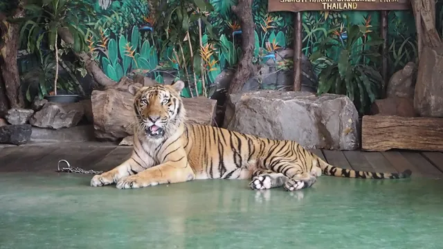 Samut Prakan Crocodile Farm & Zoo