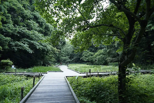 Aquatic Plant Botanical Garden
