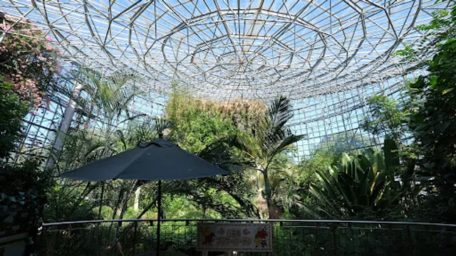 トロピカルドーム温室