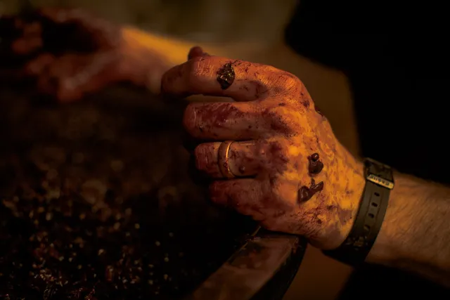 Lithology | The Estate