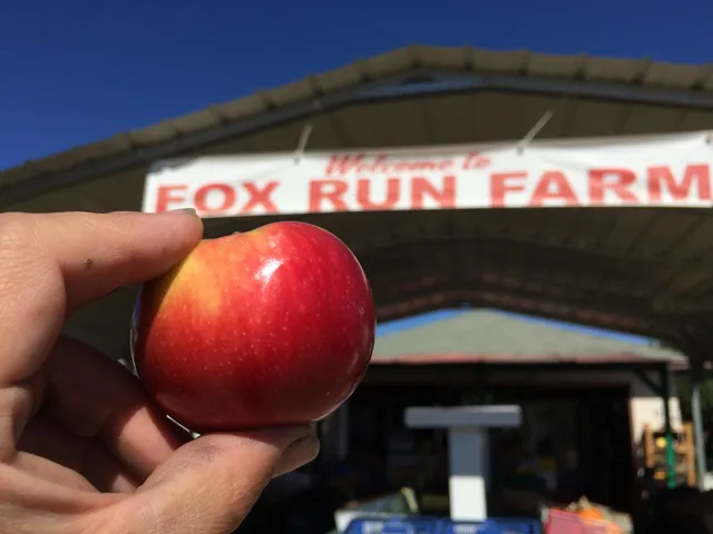 Fox Run Farm