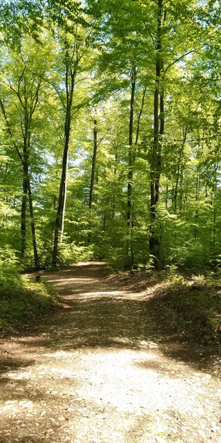 Arlesheim Trail Start