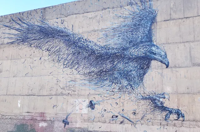 Dunedin Street Art Trail