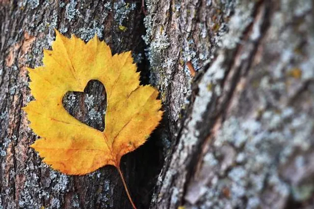 Sibrik Castle Bozsok