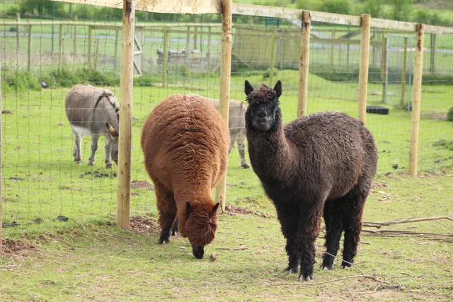 Rodbaston Animal Zone