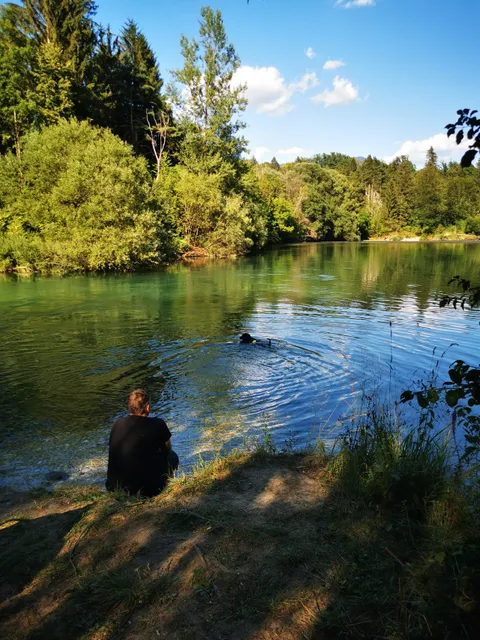 Sotočje Save Bohinjke In Dolinke