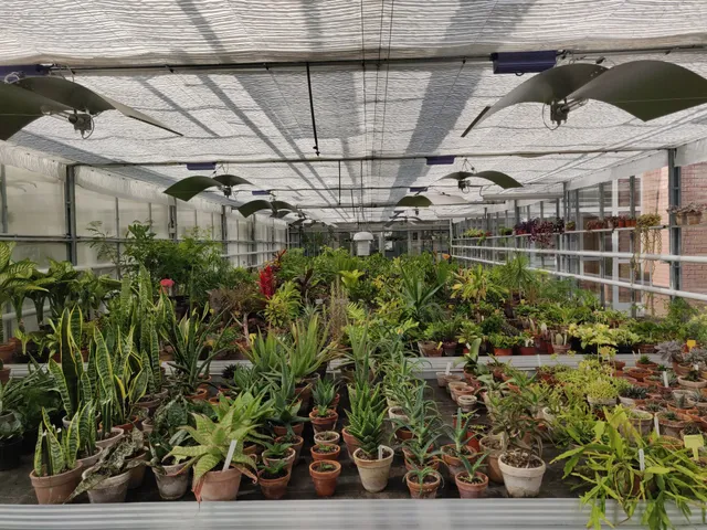 Botanická zahrada léčivých rostlin