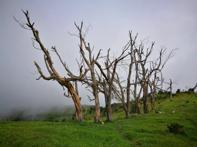 Pic Macaya National Park