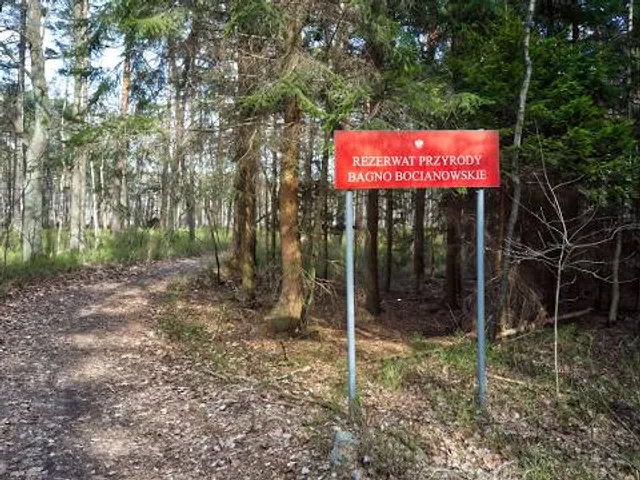 Rezerwat przyrody Bocianowskie Bagno