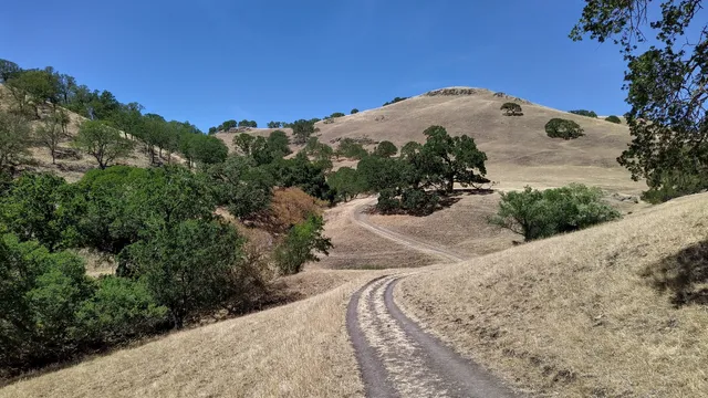 Diablo Foothills Regional Park