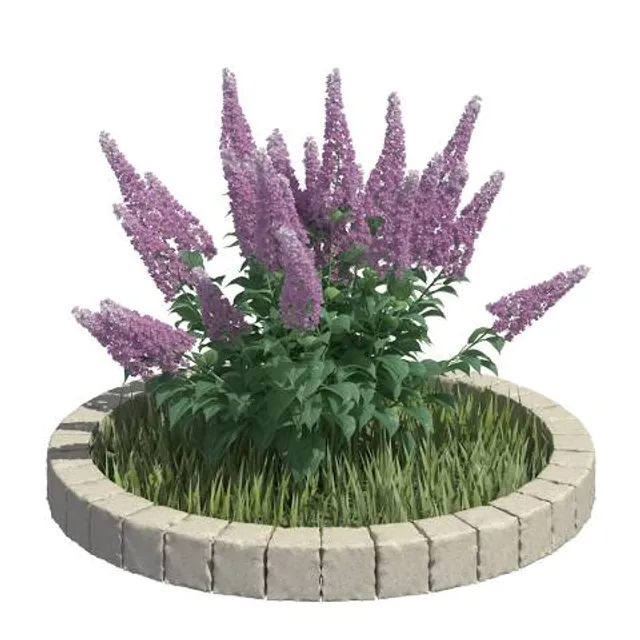 Parc Antonio Di Giulio