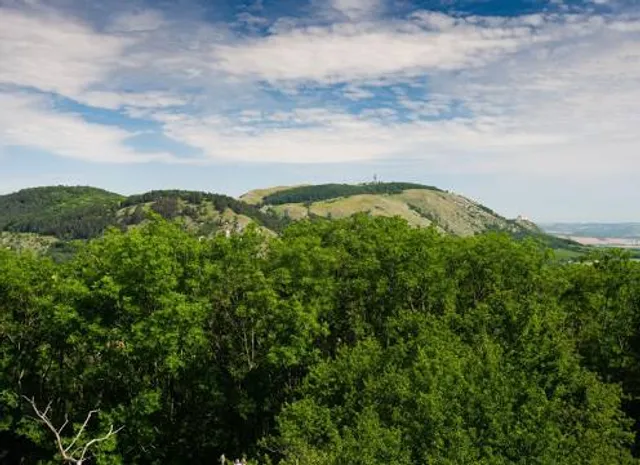 Aussichtsturm Petersboden
