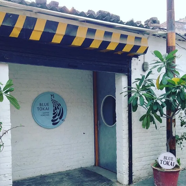 Blue Tokai Coffee | Saidulajab