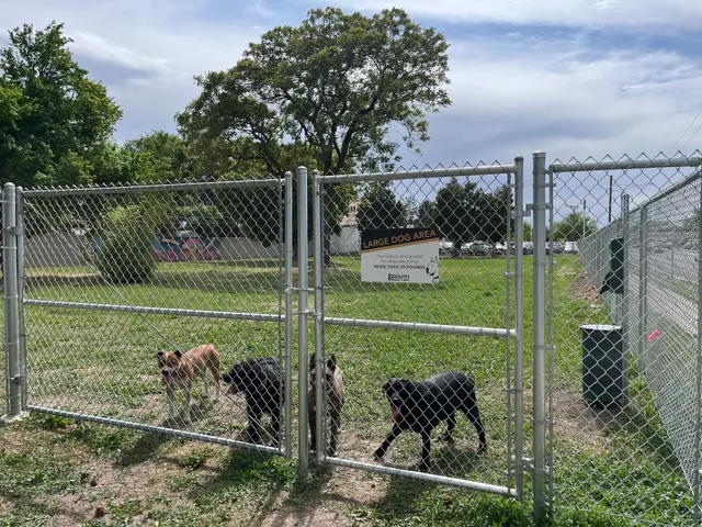 South Salt Lake Dog Park