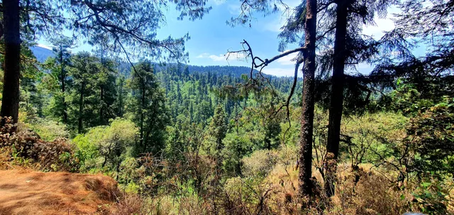 Mirador Desierto de los Leones