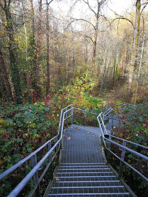 Glenbrook Ravine Park
