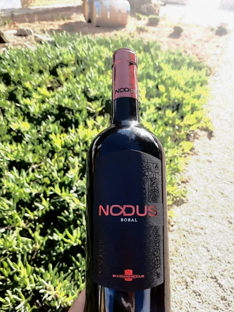 Bodegas Nodus