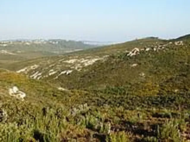 Massif de Fontfroide