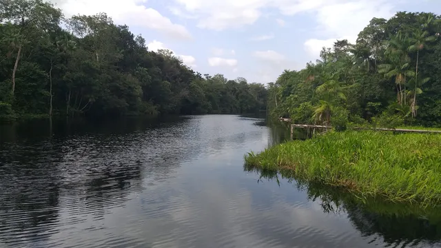 Reserva Extrativista Mapuá