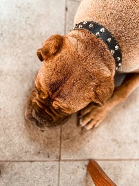 erdekland Zoo and waterpark