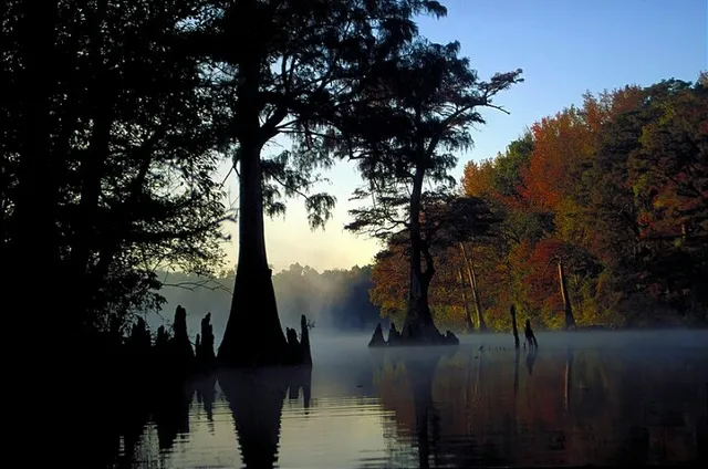Dale Bumpers White River National Wildlife Refuge