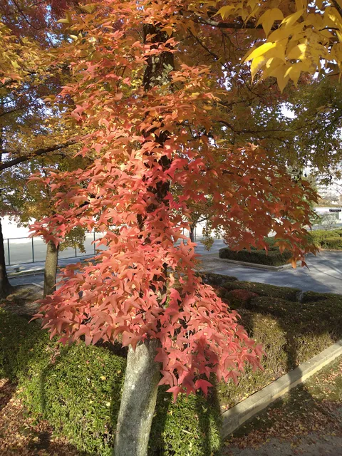 photo-1
