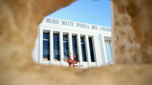 Museum of Contemporary Art Mayte Spinola