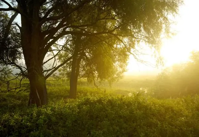 Přírodní park Mikulčický luh