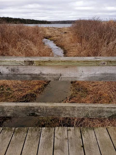 MacCormacks Beach Provincial Park