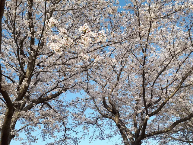 Nogi Town Total Sports Park