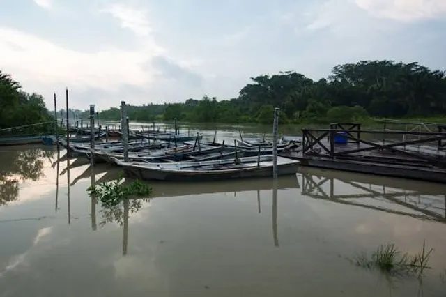 Firefly, Kuala Selangor