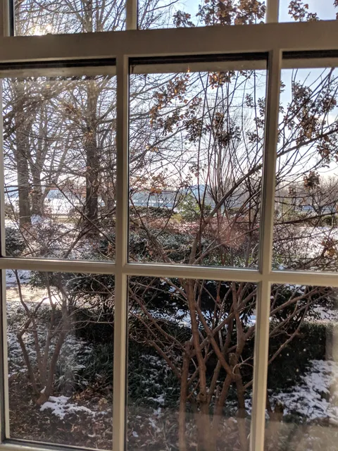 photo-3