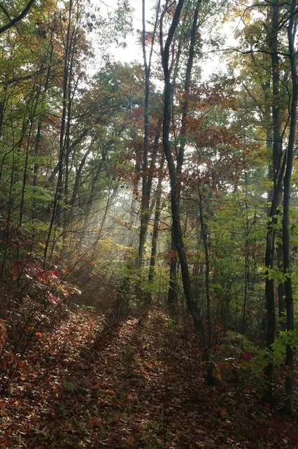 Little Pine State Park