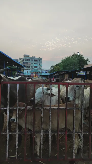Hotel Geetha Lunch Home