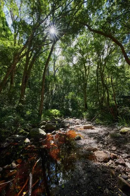 Grootvadersbosch Nature Reserve