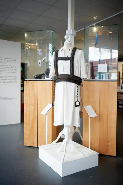 Mental Health Museum