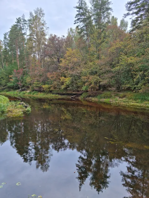 State natural reserve "Shalovo-Perechitsky"