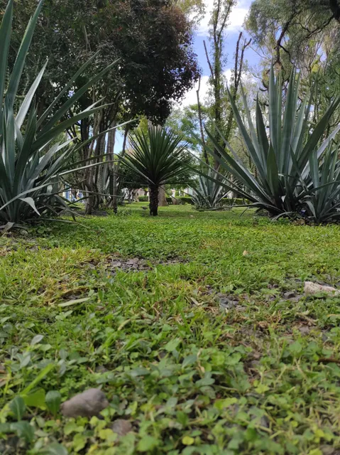 photo-1