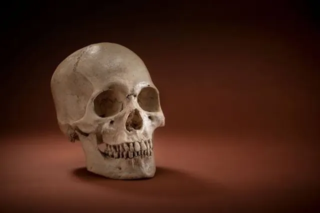 Archeological museum MAC L.Bruzza