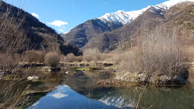 El Salencar de Barruera