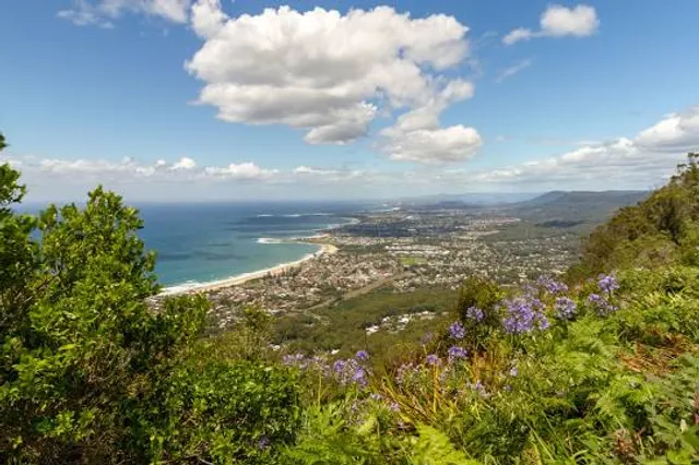 Sublime Point walking track