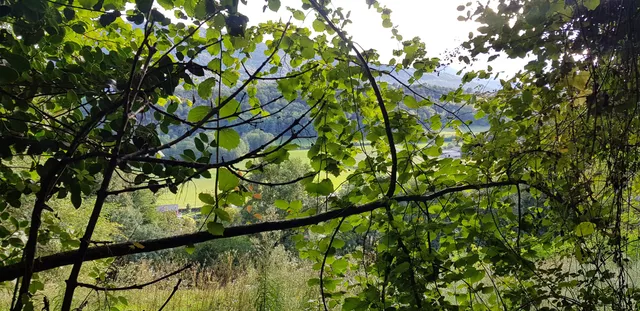 Piccolo Museo Sessa Monteggio