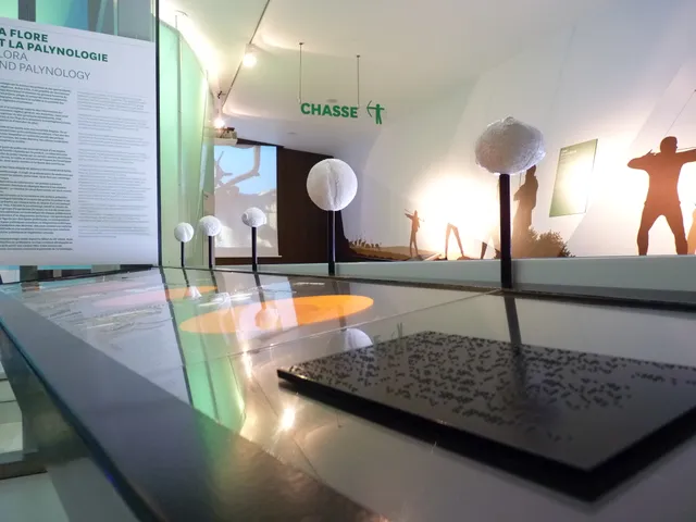 SauveTerre Musée de Préhistoire